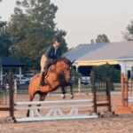 Two Takeaways from Two Schooling Jumper Shows