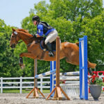 Unlearning Defensive Riding Habits